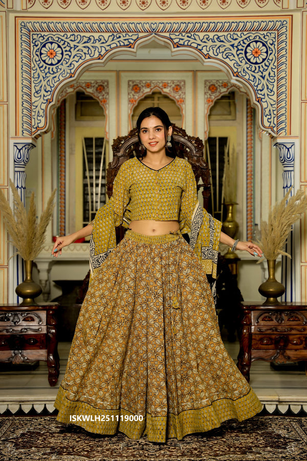 Bagru Hand Block Printed Cotton Lehenga With Blouse And Malmal Dupatta-ISKWLH251119000