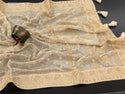 Lucknawi Chikankari Georgette Saree With Blouse-ISKWSR020426052