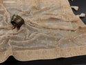 Lucknawi Chikankari Georgette Saree With Blouse-ISKWSR020426052