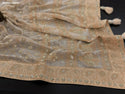 Lucknawi Chikankari Georgette Saree With Blouse-ISKWSR020426052