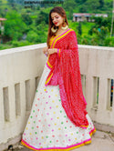 Embordered Cotton Lehenga With Blouse And Rayon Dupatta-ISKWNAV2208LNB1620WHT